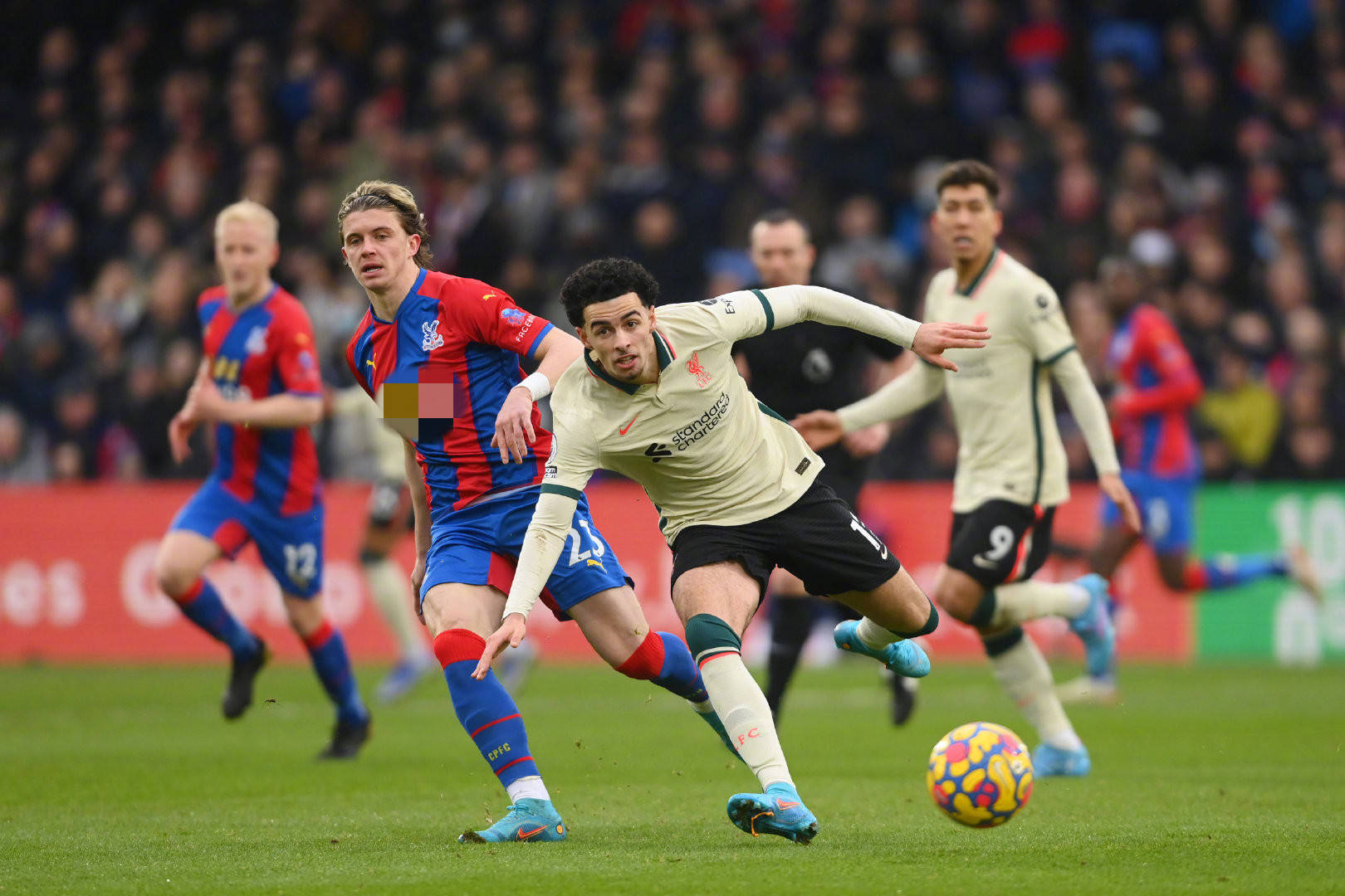 无疑将成为 无疑将成为